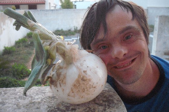 52-v Itálie roste obrovská cibule (srov. s Kubovou hlavou)